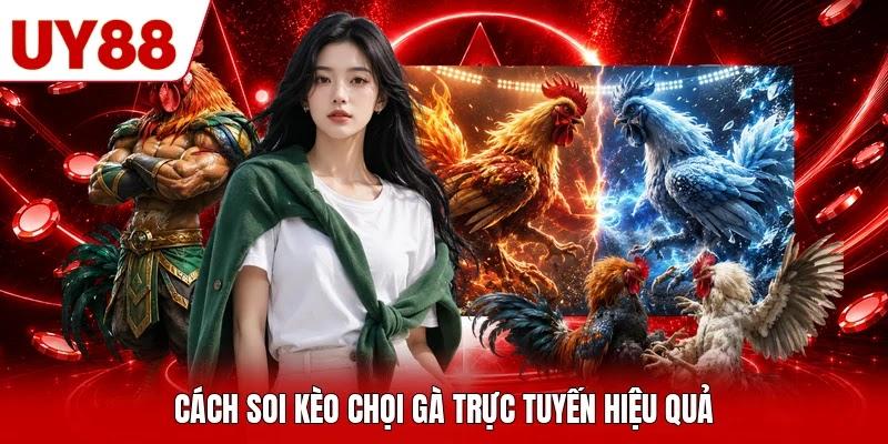 Cách soi kèo chọi gà trực tuyến hiệu quả