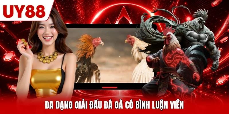 Đa dạng giải đấu đá gà có bình luận viên