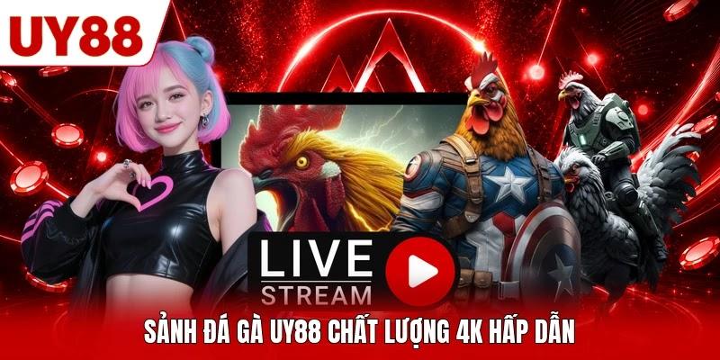Sảnh đá gà UY88 chất lượng 4K hấp dẫn